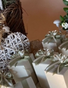 Cara e Steve, a Capri un sogno d’amore raccontato da The Wedding Planners Monaco