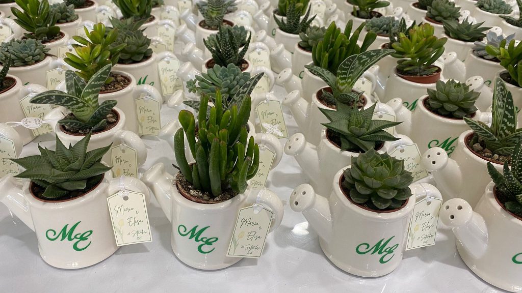 In questa foto si vede una delle Bomboniere di Sabrina composta da piccole piante grasse inserite in vasetti bianchi personalizzati con iniziali verdi. Ogni pianta è accompagnata da un cartellino con i nomi degli sposi e la data del matrimonio.