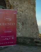 Erica Canova, l’arte di trasformare sogni in matrimoni su misura