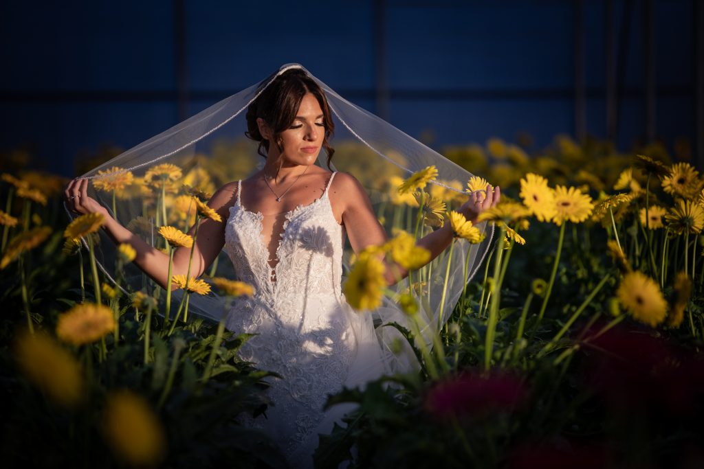 In questa foto si vede una delle fotografie di matrimonio di Meli, una sposa con velo sollevato tra le mani, immersa in un campo di fiori gialli, illuminata da luce calda al tramonto.