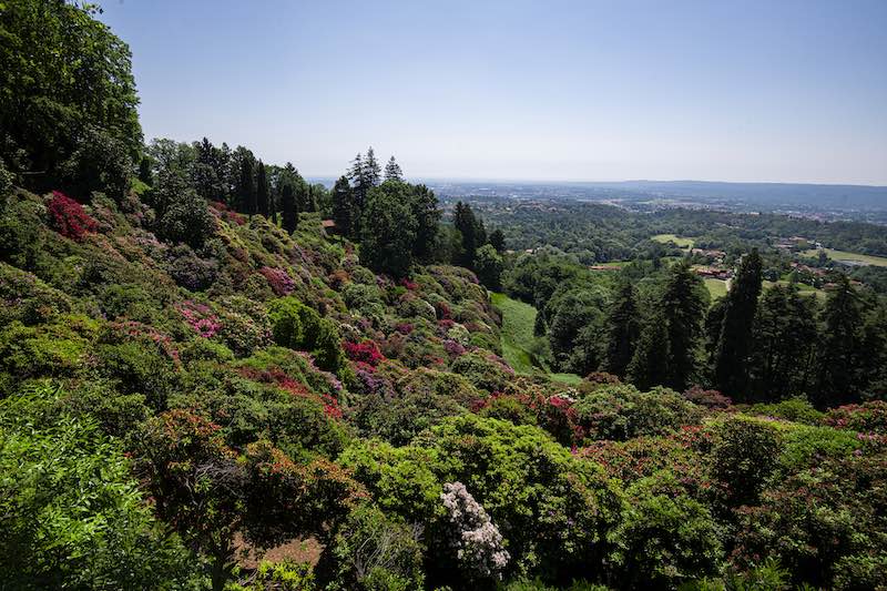 In questa foto, una vista panoramica del Parco Burcina