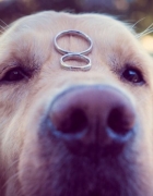 Un Romantic Garden a Milazzo, il matrimonio di Valeria e Alberto progettato da ChiaraB Events