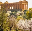 Mandorlo in Fiore 2026: leva strategica per il Wedding Tourism ad Agrigento