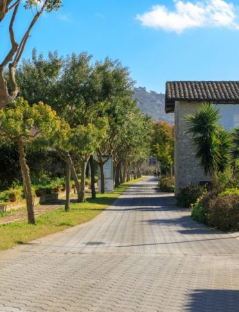 In questa foto uno dei viali alberati di Villa dei Margi