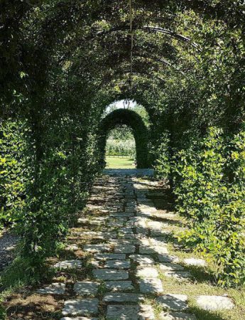 In questa foto un viale del baglio