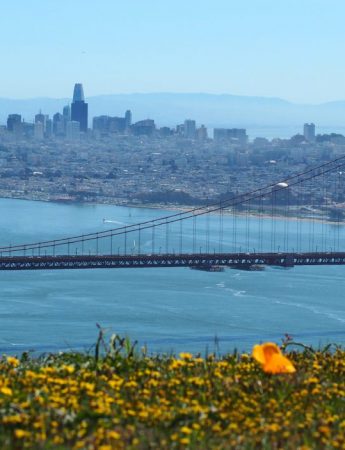 In questa foto un panorama della splendida San Francisco