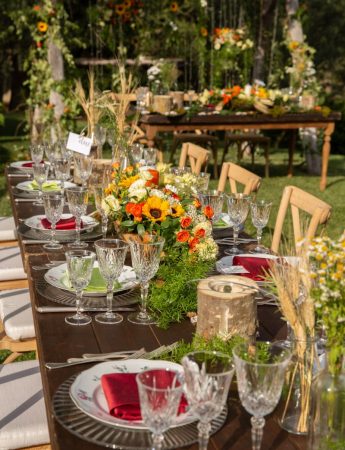 In questa foto una mise en place a tema natura con tanto verde e fiori colorati a cura della Wedding Planner Antonella Effe